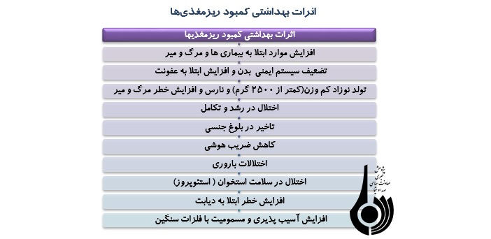 جايگاه و ويژگي هاي نان  سالم در تغذیه و سلامت مردم
