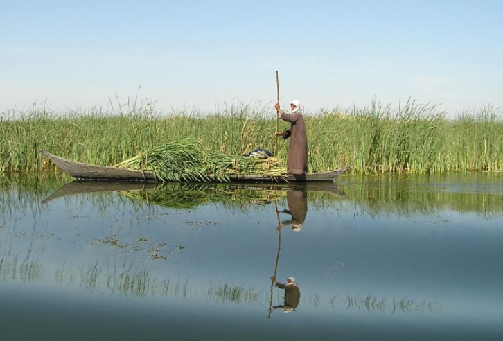 هور زنده شد