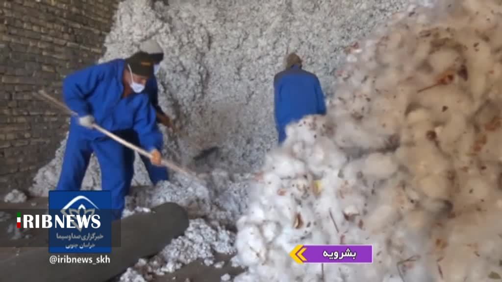 گزارش مکتوب... روزگار سیاه طلای سفید در بازار واردات و سیاست