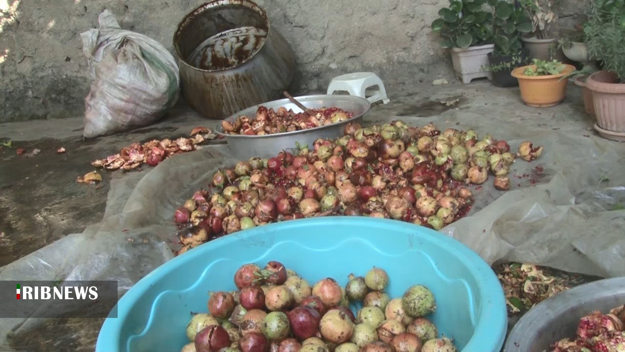 شیرین شدن کام زنان شمالی با انار ترش میانکاله