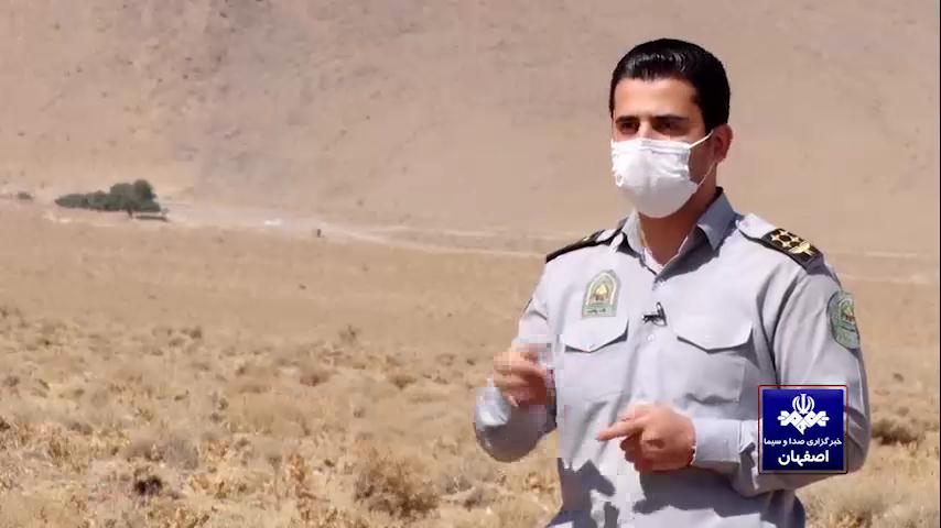 خام فروشیِ کتیرایِ ارز آور