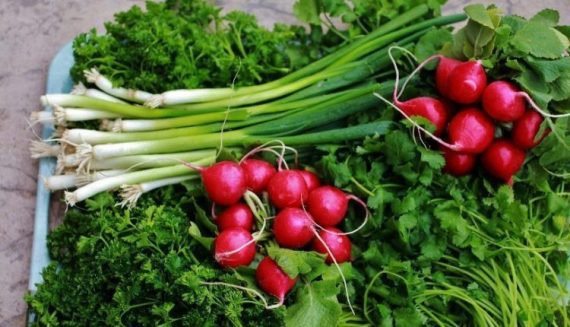 سبزی خوردن سر سفره&zwnj; تان باشد