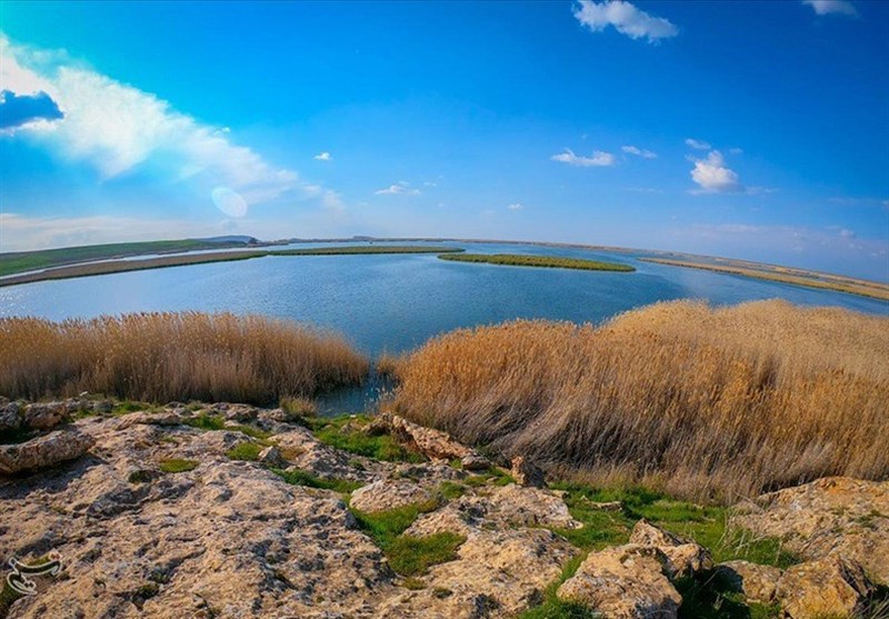 آوای خوش زندگی در دل تالاب کانی برازان