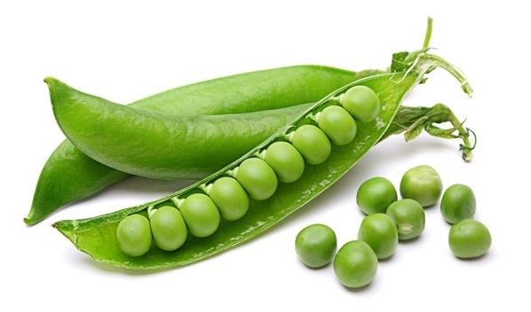 سبزیجاتی که چاق&zwnj;کننده هستند