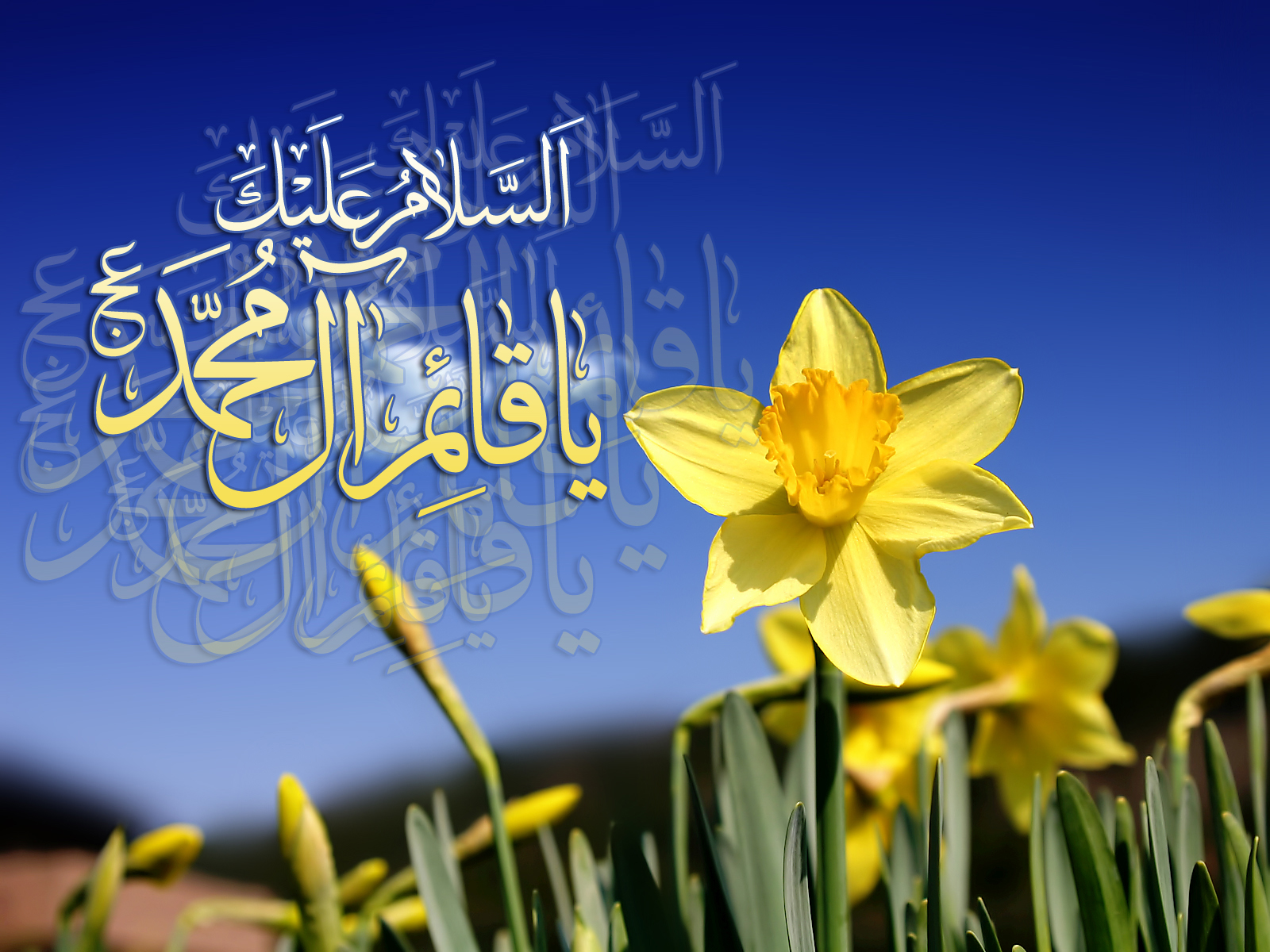 آغاز دوره&zwnj;ای مهم در تاریخ شیعیان و تحکیم اتحاد و همدلی مسلمان