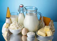 افزایش قیمت لبنیات تخلف است