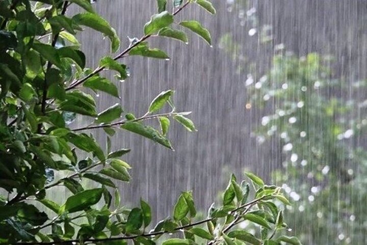 پیش بینی کاهش محسوس دما از امروز تا چهارشنبه