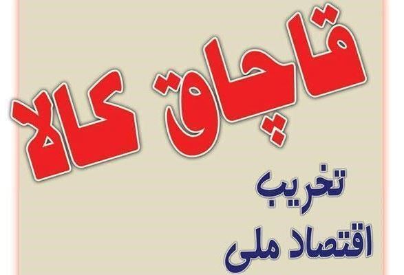 توقیف محموله ماهی قاچاق در آستارا