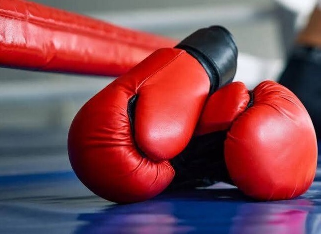 دعوت بوکسور کردستانی به اردوی تیم ملی دعوت بوکسور کردستانی به اردوی تیم ملی