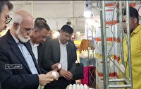 نظارت بر بازار در آغاز ماه رمضان