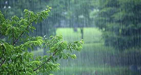 آغاز بارش رحمت الهی در استان بوشهر