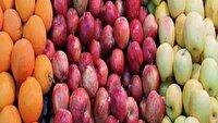 عرضه مستقیم میوه نوروزی با قیمت تنظیم بازار در تبریز