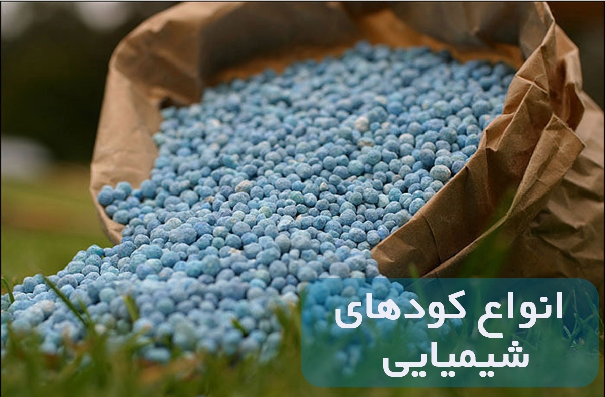 توزیع بیش از ۱۴ هزار تن انواع کود کشاورزی در خراسان جنوبی توزیع بیش از ۱۴ هزار تن انواع کود کشاورزی در خراسان جنوبی