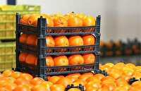 توزیع میوه شب عید از فردا در استان قزوین