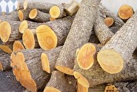 کشف چوب قاچاق در صومعه سرا