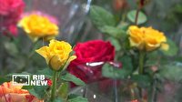 میزبانی کیش از پنجمین نمایشگاه گل و گیاه و صنایع‌دستی سوغات استان‌ها