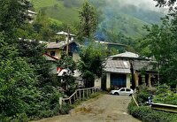 تماشای طبیعت زیبای سیاهمزگی از لنز دوربین شهروند خبرنگار