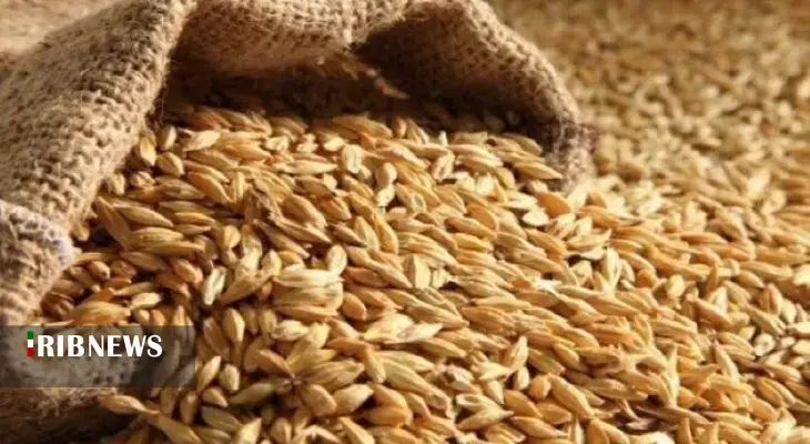 کشف ۵ تن خوراک طیور بدون مجوز در الیگودرز