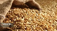 کشف ۵ تن خوراک طیور بدون مجوز در الیگودرز