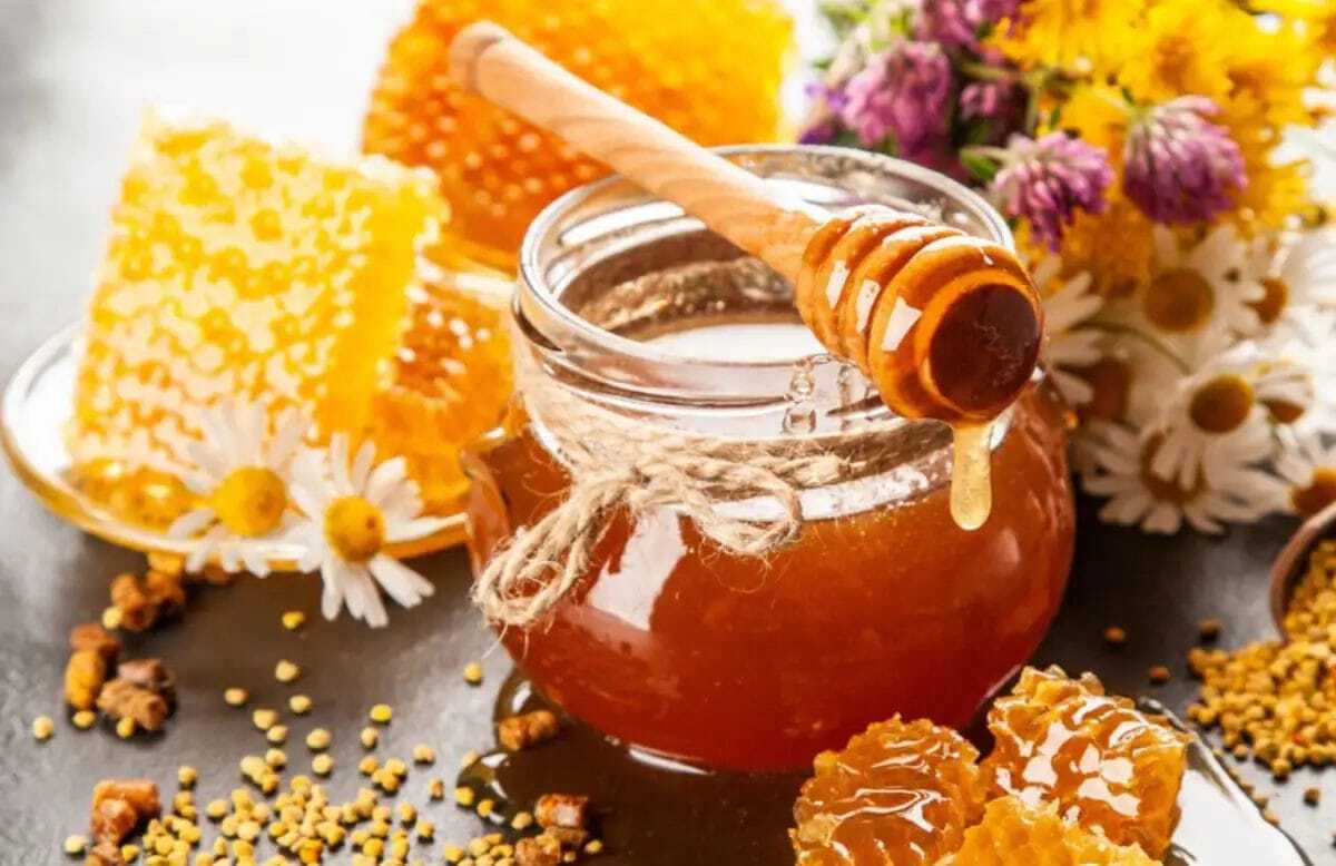 چهارمین جشنواره عسل اشترانکوه در ازنا