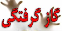 هشدار پزشکی قانونی همدان درباره مسمومیت با گاز مونواکسید کربن در فصل پاییز