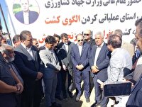 در راستای توسعه کشت‌های کم آب بر: کاشت ۱۲۰ هزار هکتار زعفران در کشور 