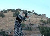 درخشش مستند بلند هیمن خالدی در کره جنوبی