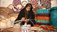 فعالیت ۷۷ صندوق خرد زنان روستایی و عشایری در استان بوشهر