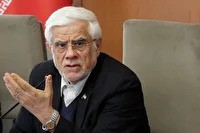 عارف: متجاوزان را له کردیم