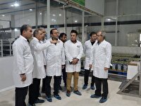 بازدید رئیس دامپزشکی کشور از کارخانه فرآورده‌های لبنی در فاروج