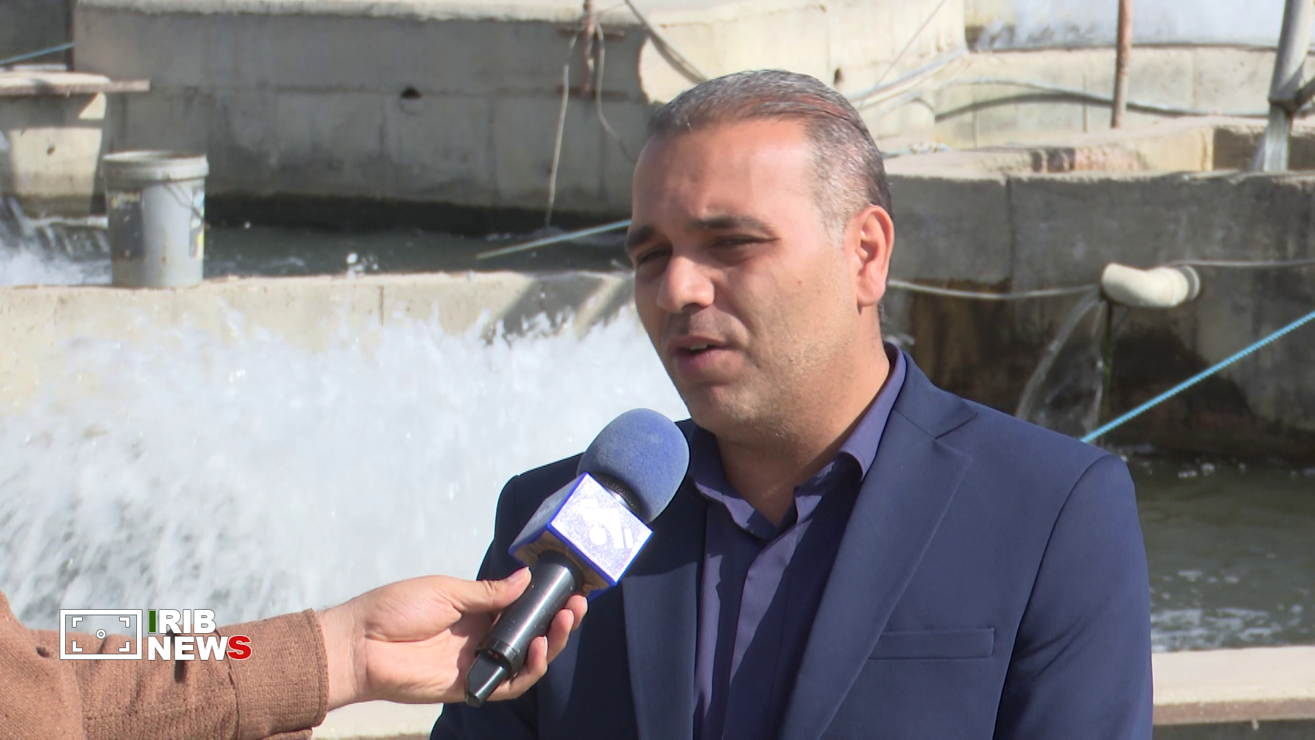 هدف‌گذاری تولید بیش از ۱۷ هزار تن ماهی در اردبیل