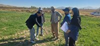 آموزش۱۲ هزارکشاورز دیم‌کار درآذربایجان‌غربی