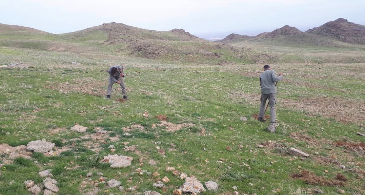 آغاز احیای پوشش گیاهی باشگل با کاشت نهال بومی بادام آغاز احیای پوشش گیاهی باشگل با کاشت نهال بومی بادام