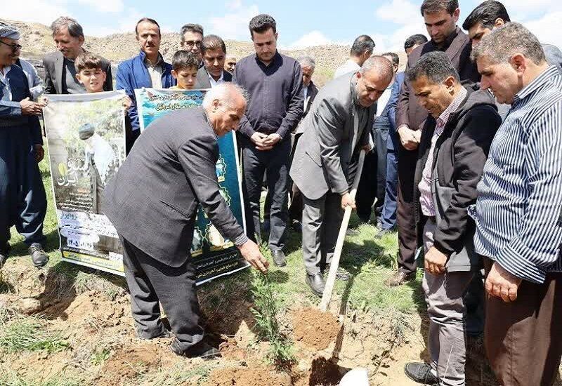 کاشت نهال به یاد شهدای جنگ تحمیلی در پیرانشهر