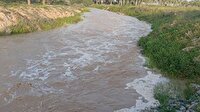 آسمان استان بوشهر بارانی است