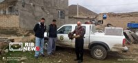 رهاسازی سه پرنده شکاری در دیواندره
