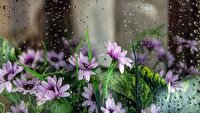 ادامه فعالیت سامانه بارشی در زنجان