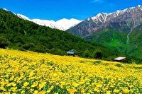 پایداری هوای گیلان از امروز