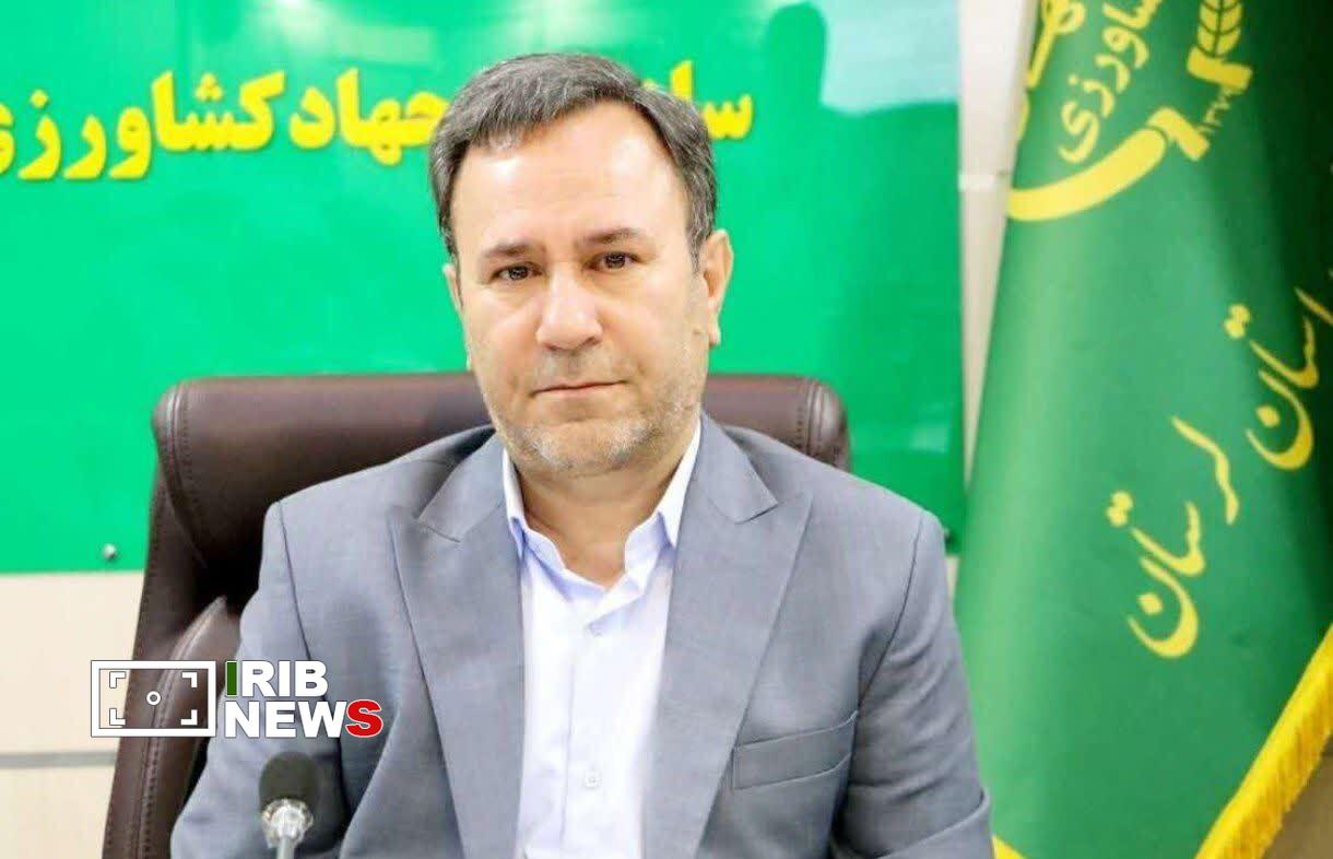 آغاز پرداخت تسهیلات بانکی به دامداران روستایی و عشایری لرستان