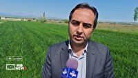 به بار نشستن امید در اصلاندوز