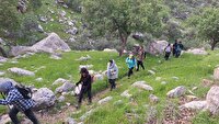 فعالیت ۵۰۰ کوهنورد در گچساران