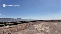سفر رئیس سازمان منابع طبیعی به ساوه