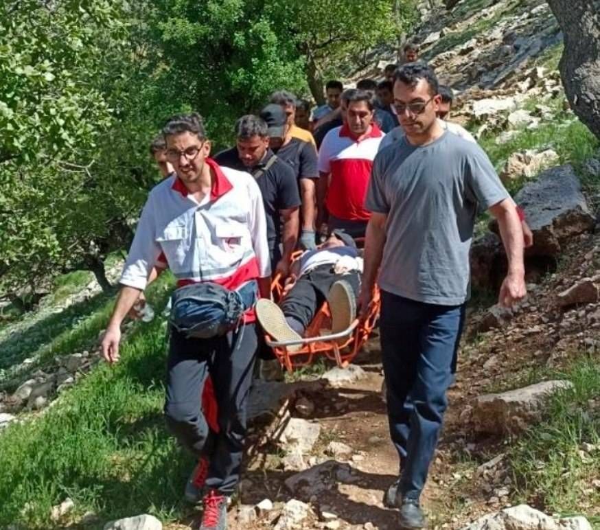 حمله خرس به دو نفر در ارتفاعات مانشت ایلام حمله خرس به دو نفر در ارتفاعات مانشت ایلام