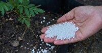 توزیع ۵۴۰۰ تُن کود اوره در آذربایجان شرقی در فروردین‌ماه