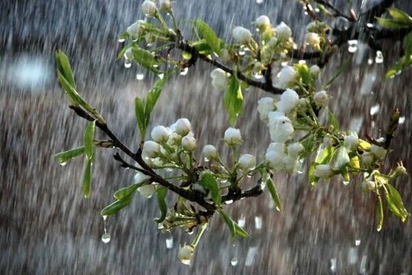 تندباد و بارش‌ های رگباری مهمان خراسان رضوی