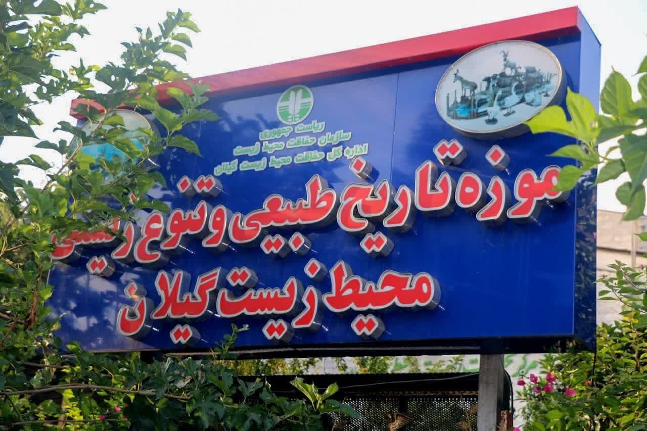 بازدید رایگان از موزه تاریخ طبیعی و تنوع زیستی گیلان بازدید رایگان از موزه تاریخ طبیعی و تنوع زیستی گیلان
