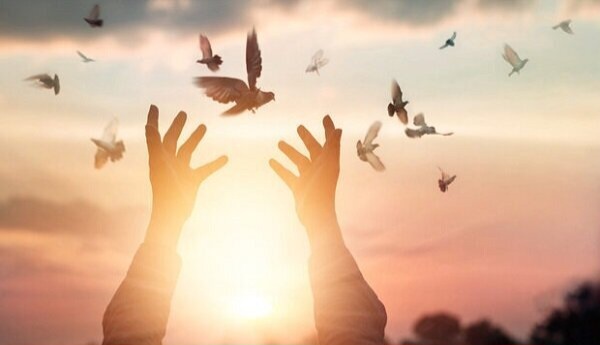 گذشت از قصاص به حرمت شهدای جنگ رمضان
