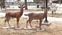 بوستان ساوانای ۲ بندرعباس آماده بهره برداری