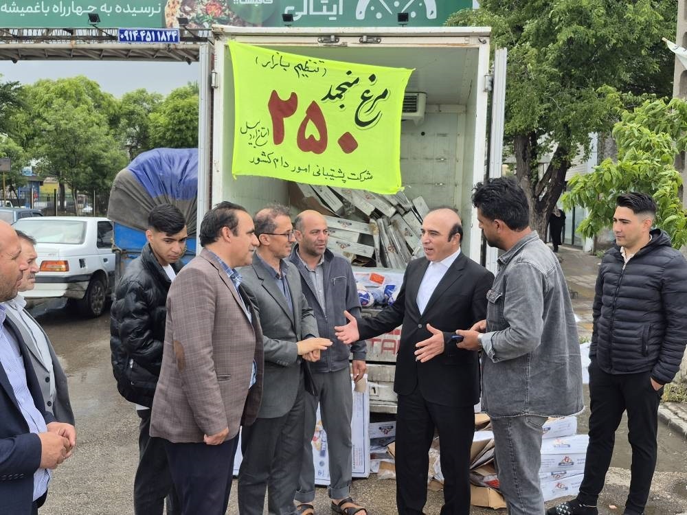 آغاز توزیع مرغ منجمد بدون محدودیت در اردبیل