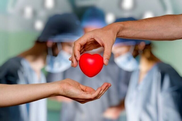 بخشش زندگی دوباره به ۵۳ نفر با اهدای اعضا